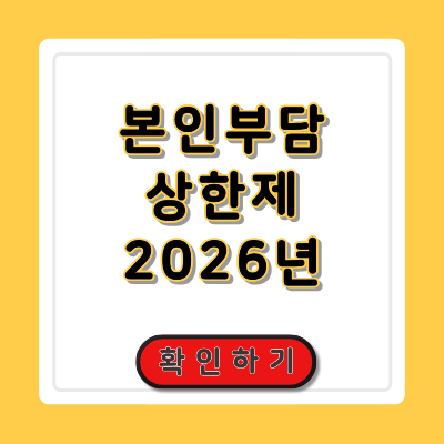 본인부담상한제 2026